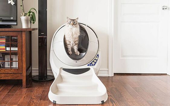 Роботизированный туалет для кошек