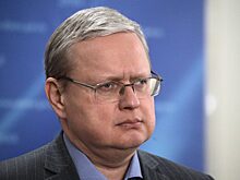 Делягин объяснил, зачем нужна национализация