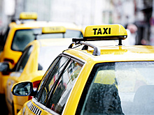 Правительству предложили разделить таксистов на профессиональных и самозанятых