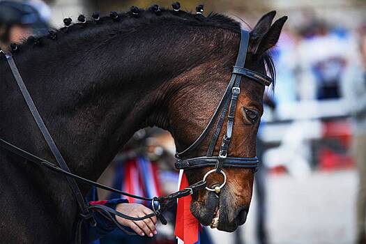 В России сообщили об отправке в зону СВО «особенного груза»