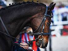 В России сообщили об отправке в зону СВО «особенного груза»