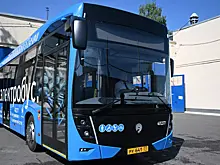 Гербарий и подушку в виде пончика забыли пассажиры Мострансавто в октябре