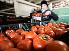 Поставки российских фруктов и овощей в ЕС рухнули