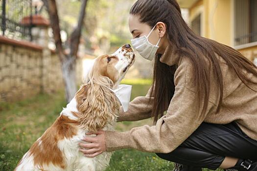 Ученые научили нейросеть «вынюхивать» рак подобно собакам