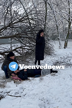В Октябрьском районе Ростова пожилого мужчину придавило упавшей из-за снегопада веткой
