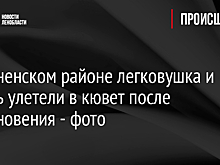 В Тосненском районе легковушка и Газель улетели в кювет после столкновения - фото
