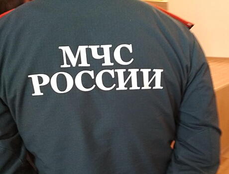 МЧС РФ не будет в списке ведомств для согласования схемы размещения торговых мест на рынках