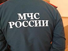 МЧС РФ не будет в списке ведомств для согласования схемы размещения торговых мест на рынках
