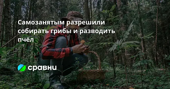Дума допустила самозанятых и иностранные компании на рынок органической продукции