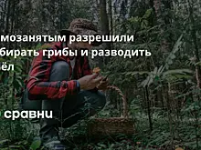 Дума допустила самозанятых и иностранные компании на рынок органической продукции