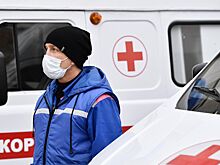 В Карелии зафиксированы первые случаи свиного гриппа
