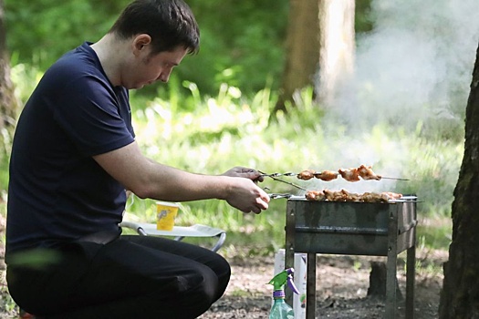 Как не получить штраф за отдых в лесу