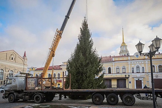 В Рыбинске установили главную новогоднюю ель