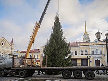 В Рыбинске установили главную новогоднюю ель