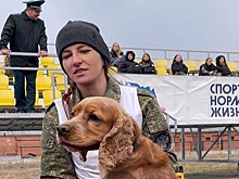 Спаниель Робин из Новосибирска лучше всех ищет деньги в Сибири