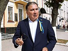 "Какая родина?": в Грузии оценили план Саакашвили