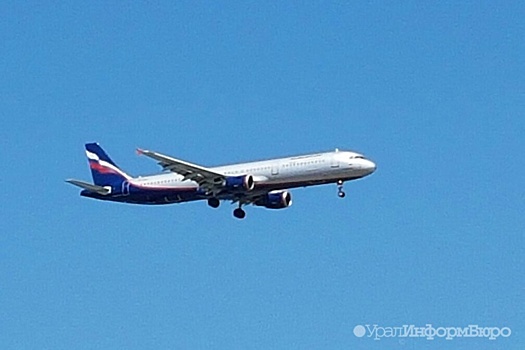 "Аэрофлот" назвали лидером по числу пассажиров отмененных рейсов