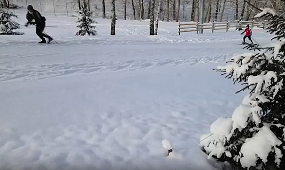 В Челябинске начали работу 13 лыжных трасс