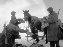 Зачем немецкие солдаты в свободное время плели лапти