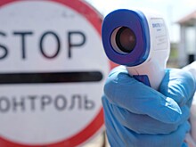 Под Воронежем выявили сибирскую язву