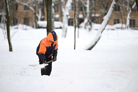На уборку улиц Петербурга вышли дворники из Индии
