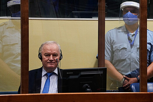 Сын заявил, что отбывающий пожизненное заключение Ратко Младич очень слаб