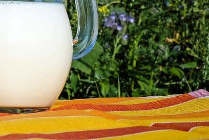 Чем опасен отказ от молочных продуктов