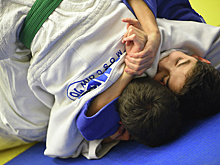 Региональная школа самбо может появиться в Подмосковье