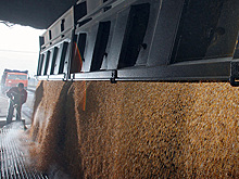 В Минсельхозе назвали сроки строительства терминала для экспорта зерна в Китай