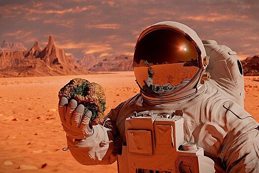 Учёные рассчитали максимальный срок безопасной для человека жизни на Марсе