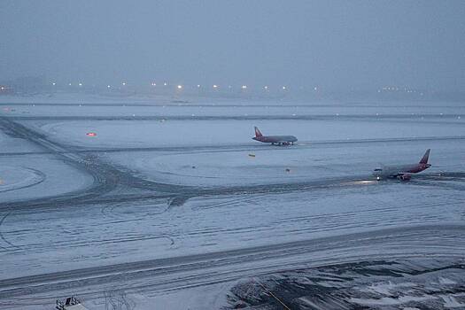 Столичный аэропорт доставит багаж пассажирам на дом из-за снегопада