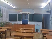 Вахтера из школы под Красноярском уволили после нападения девочки с ножом на сверстницу