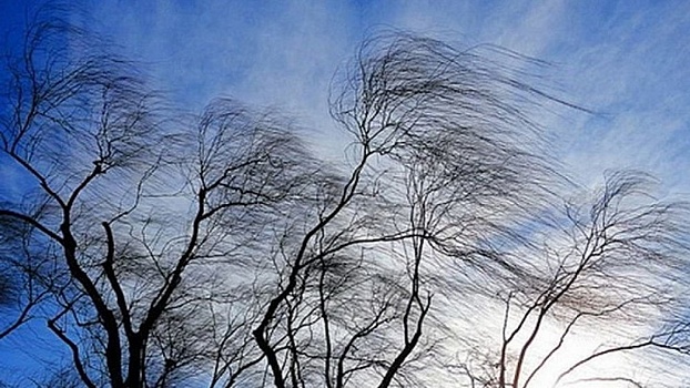 На Кубани объявили экстренное предупреждение о сильном ветре