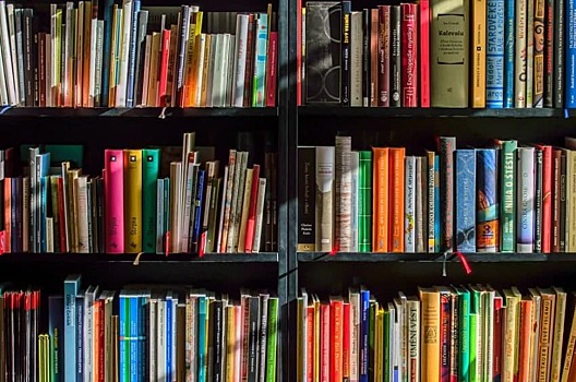 Сбор книг для сельских библиотек объявили на 2-й Пугачевской 