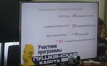 Почти 500 учреждений культуры может посетить донская молодежь по &laquo;Пушкинской карте&raquo;