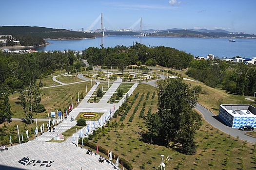 На остров Русский распространили режим ТОР