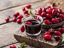 Раскрыты полезные свойства кизила для организма человека