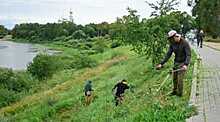 Покосом травы в Вологде занимаются 30 человек
