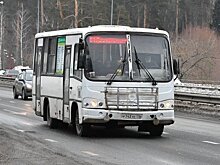Депутат Челнов раскритиковала работу Тятюшкина