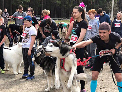 ХК «Трактор» принял участие в благотворительном забеге с собаками