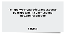 Чайка призвал прокуратуру жестко реагировать на увольнения граждан предпенсионного возраста