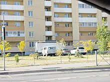 Деревья посажены, ухода нет: на ул. Антонова пожелтела аллея