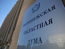 Владимир Нетесов: Дети воронежских участников СВО получат льготы на проезд