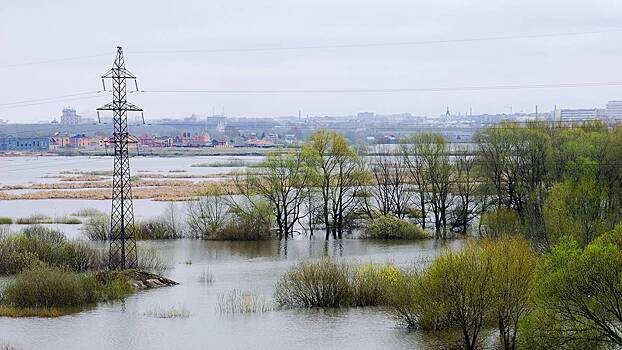 Вода начала заходить в села Притобольного района Курганской области