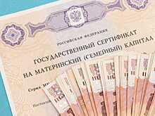 Воронежцев уличили в обналичивании материнского капитала
