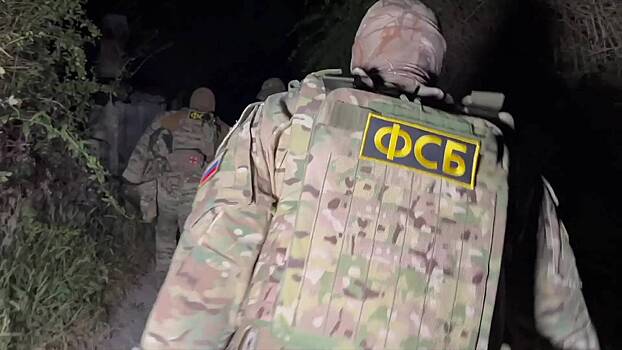 ФСБ выявила финансиста террористов ИГ в Ростовской области