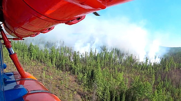 Площадь лесных пожаров в Красноярском крае превысила 140 тысяч гектаров