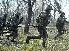 Украинские «белые каски» проникают в Тавриду