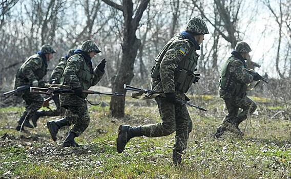 Украинские «белые каски» проникают в Тавриду