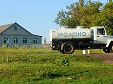 Минсельхоз: запуск интервенций на рынке молока в 2017 году будет зависеть от цен